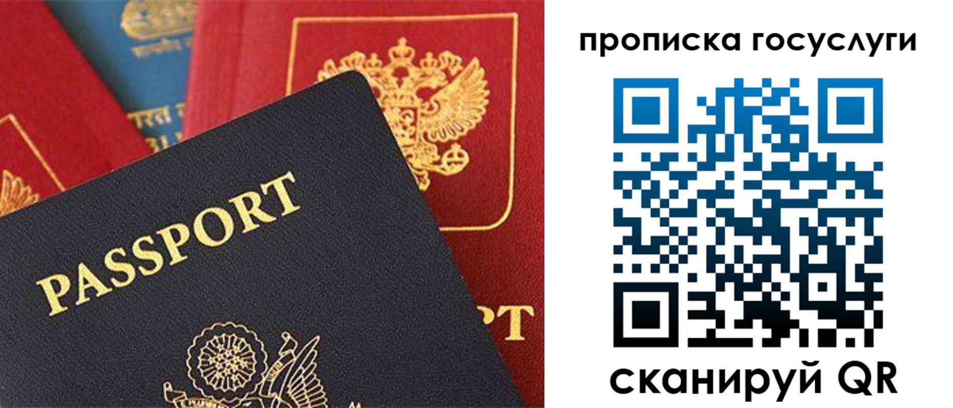 где прописаться в Владимирской области